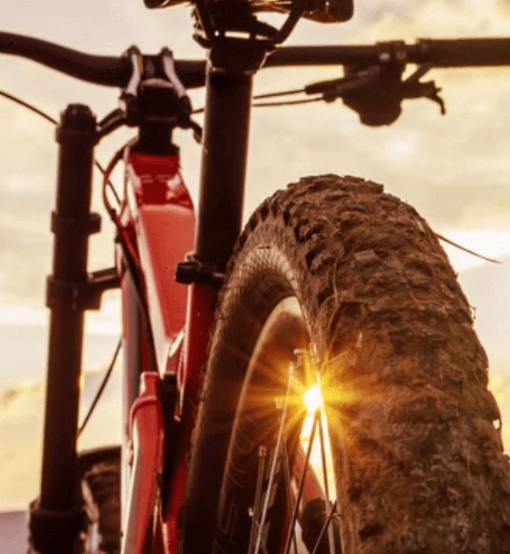 A close up of the back of a red bicycle